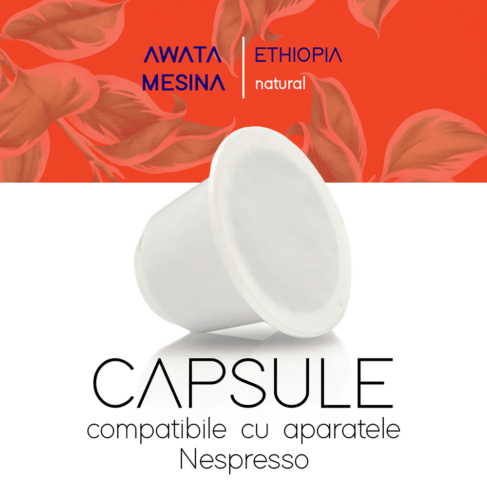 CAPSULE - AWATA MESINA, Ethiopia (Natural) Cafea de Specialitate